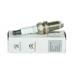 Zapaľovacia sviečka Originál Citroen Peugeot C2 206 C3 207 RFN58LZ3A 5960J9