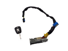 Spínacia Skrinka Peugeot 206 N0501539 4162Z1 Valeo 1082