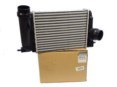 Medzichladič Renault 144614EA1B Nový Originál