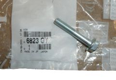 Skrutka Pompy Wody Nový Originál 6823.GY 6823GY Citroen C1 Peugeot 107