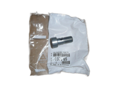 Skrutka Nový Originál 037665 0376.65 Citroen Peugeot