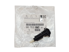 Tryska Ostrekovača Originál Citroen C4 Picasso 9676307480