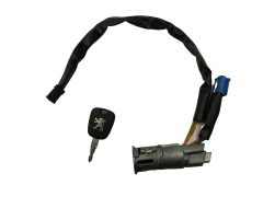 Spínacia Skrinka Peugeot 206 N0501539 4162Z1 Valeo 1091