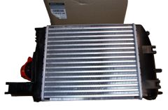 Medzichladič Nový Originál 144967634R Renault Dacia