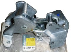 ren8200527896