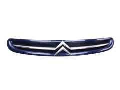 Mriežka Chladiča 7804J7 9632099177 Citroen Xsara Picasso 99-03 1013