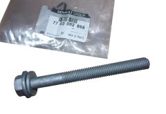 Skrutka Originál 7703002868 Renault
