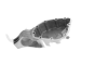 Kryt puzdra Urobte Skoda Felicia 002301211D 33010021101 Vika