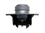 Silentblok Motora Renault Clio Kangoo 1.4 1.6 7700434370