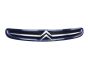 Mriežka Chladiča 7804J7 9632099177 Citroen Xsara Picasso 99-03 1013